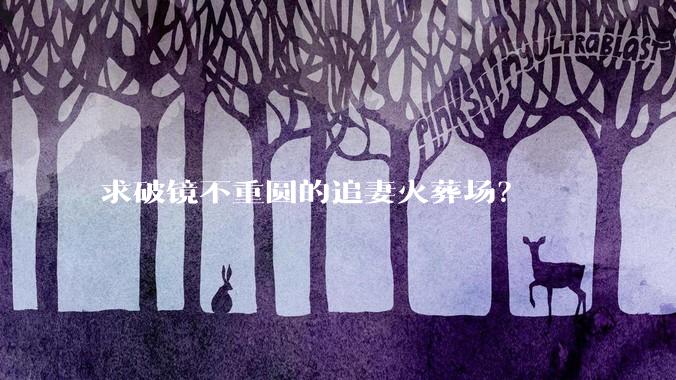 求破镜不重圆的追妻火葬场？