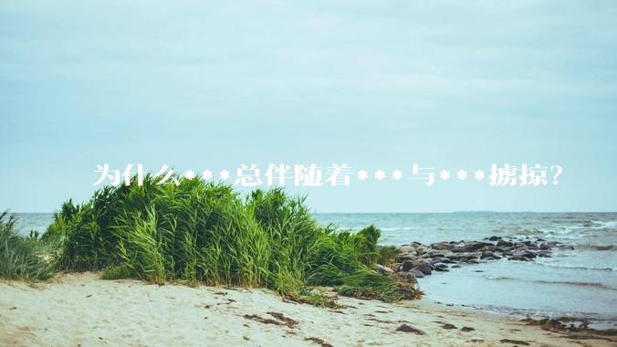 为什么***总伴随着***与***掳掠？