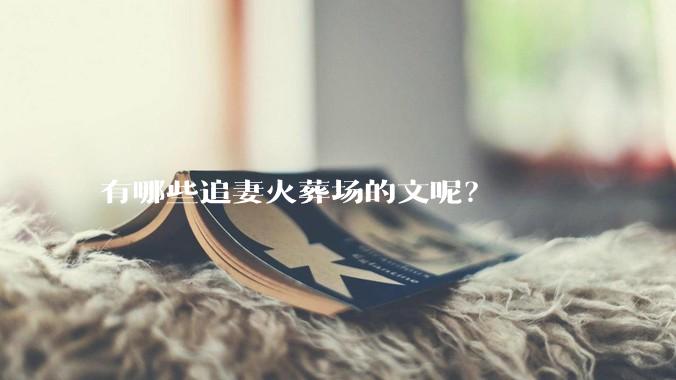 有哪些追妻火葬场的文呢？