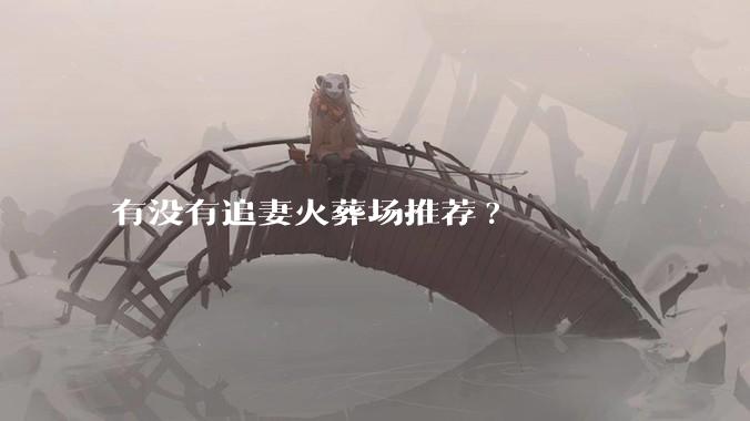 有没有追妻火葬场推荐?