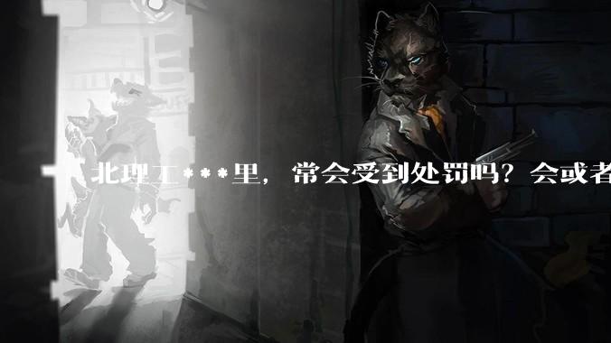 北理工***里，常会受到处罚吗？会或者不会的原因是什么？