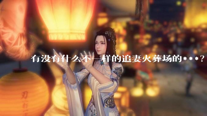 有没有什么不一样的追妻火葬场的***？